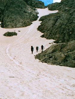 Group 3